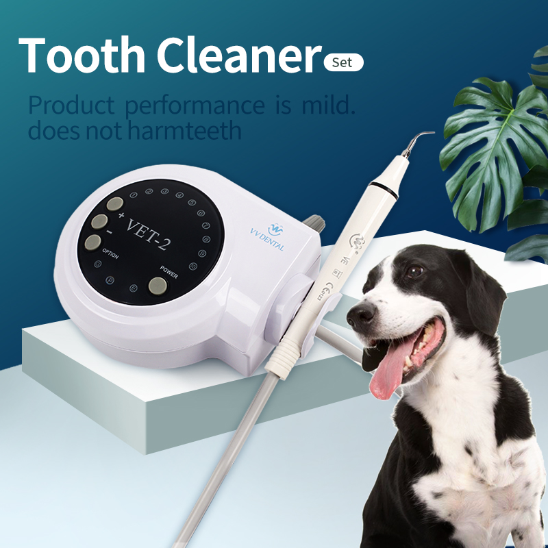 Teeth Whitening Tips - Thú Cưng Siêu Âm Nha Khoa